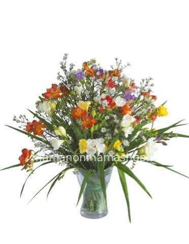 Bouquet di fresie small