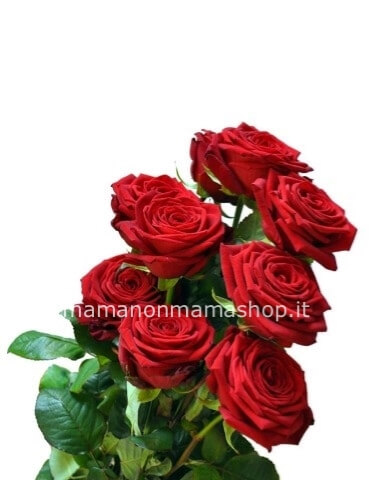 Rose rosse a stelo extra cm 50