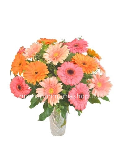 Bouquet di gerbere colori assortiti secondo disponibilità